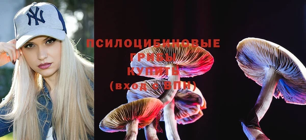 молекула духа Алзамай
